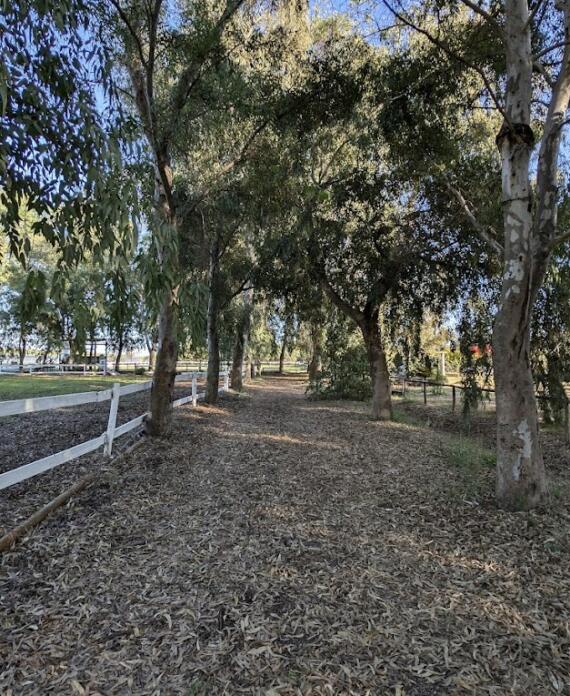 Centro Equestre La Primavera