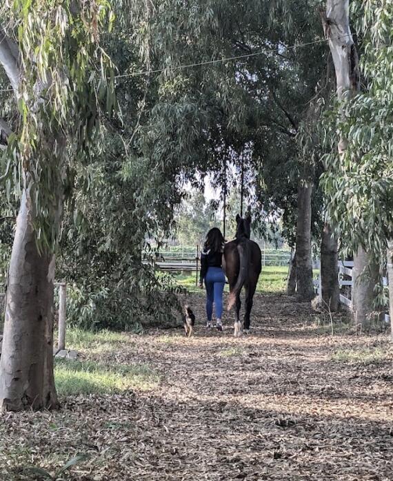 Centro Equestre La Primavera