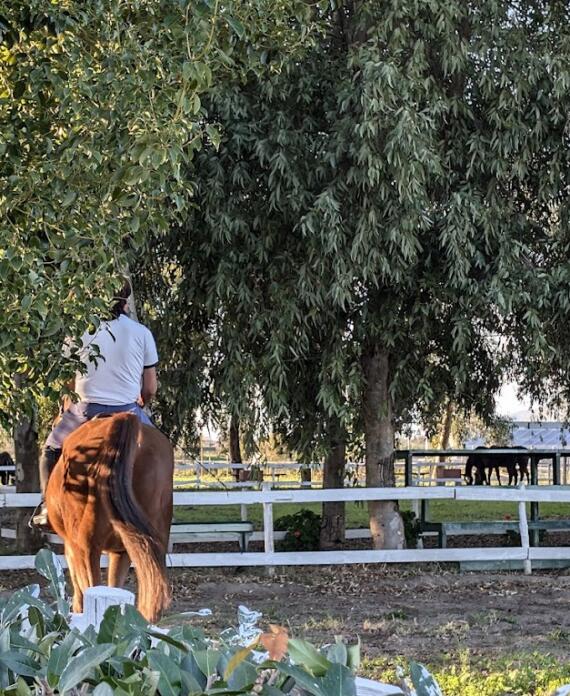 Campo Centro Equestre La Primavera