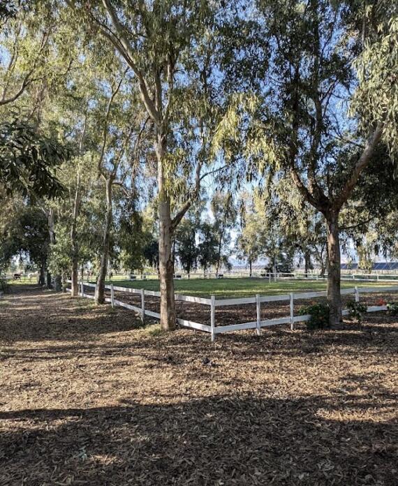 Centro Equestre La Primavera