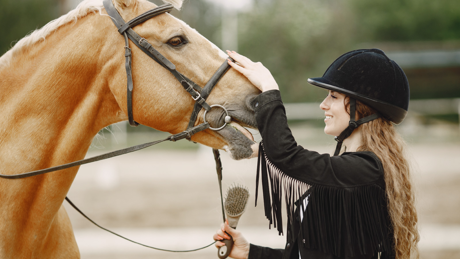 Equitazione a Falciano del Massico: scopri corsi e attività per tutte le età