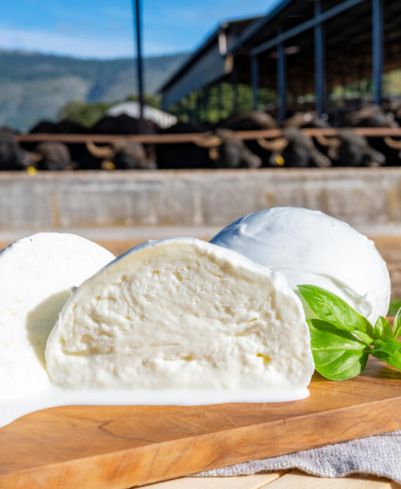 Mozzarella di bufala