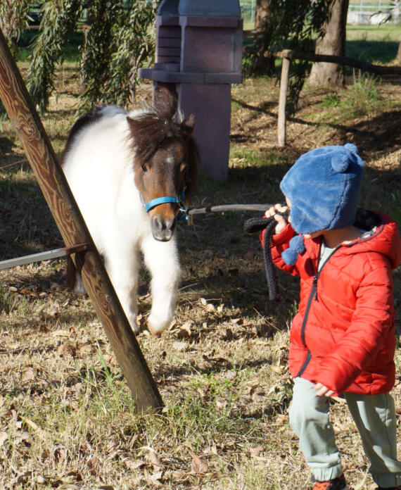 festa-per-bambini_05